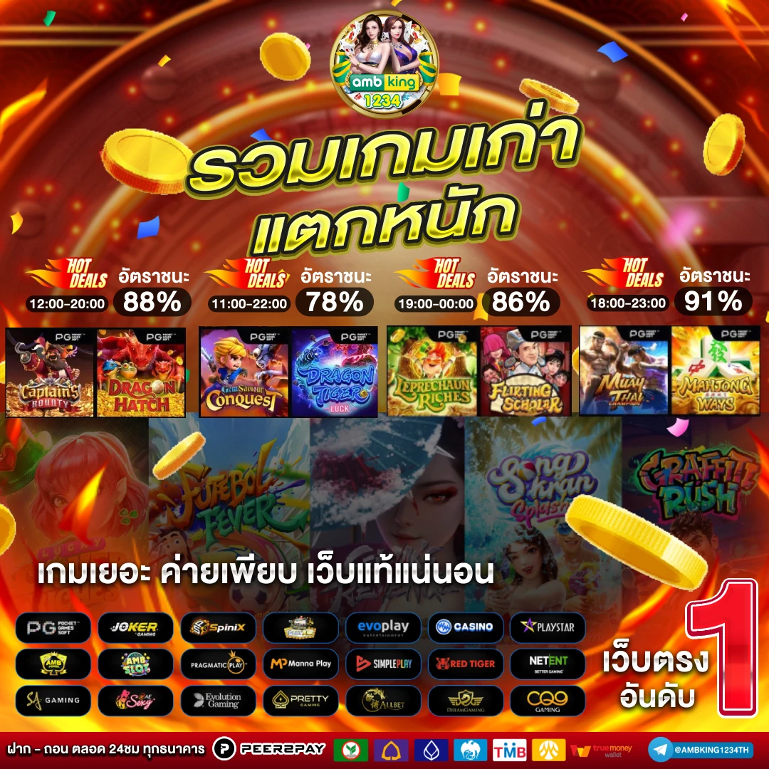 เวบ - แบนเนอร์โปรโมชั่น